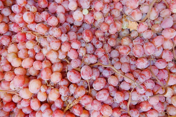 Uvas de vinho rosa — Fotografia de Stock