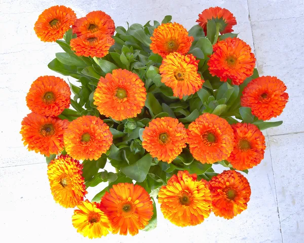 Oranžový měsíček kytice — Stock fotografie