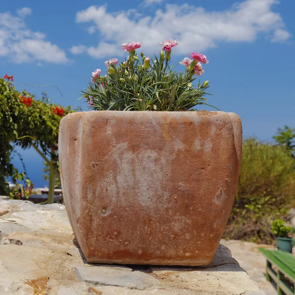 Terracotta flowerpot — Stock Photo, Image