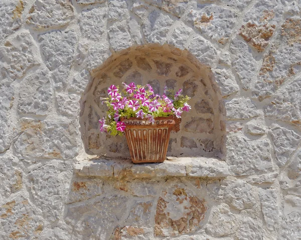 テラコッタの植木鉢と石垣 》 — ストック写真