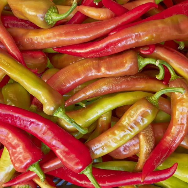 Red hot chilli peppers for sale — Stock Photo, Image