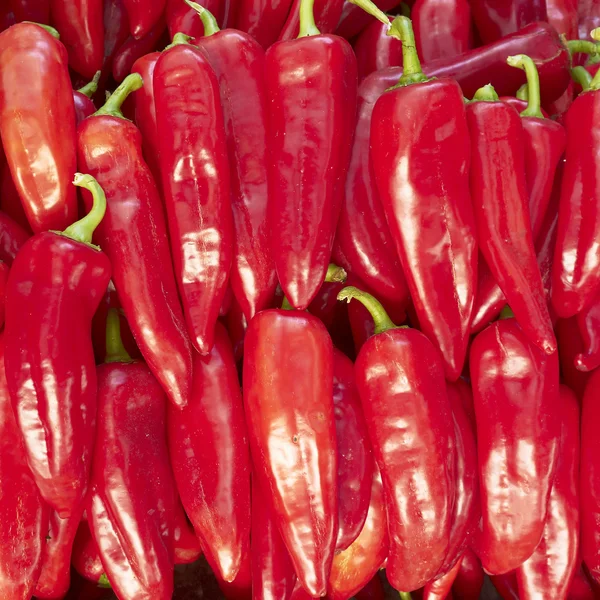Red hot chilli peppers Satılık — Stok fotoğraf