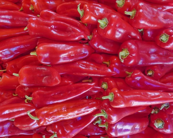 Peperoncini piccanti rossi — Foto Stock