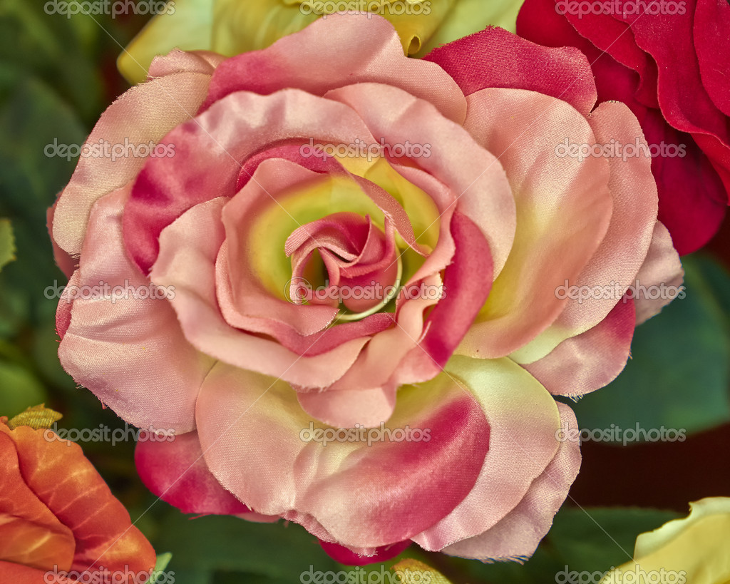 Fausse fleur rose à la main image libre de droit par DimitriosP © #43479519