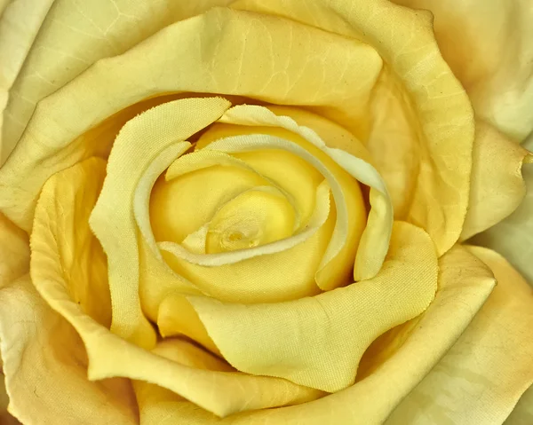 Textile fake rose closeup — Stock Photo, Image