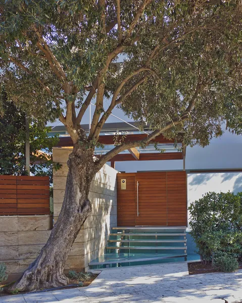 Contemporary house entrance with olive tree and water pool — Stock Photo, Image