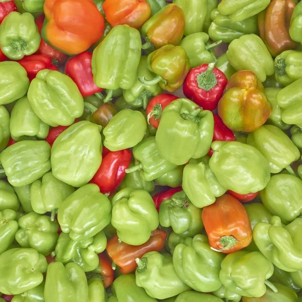 Pimentos de sino coloridos para venda — Fotografia de Stock