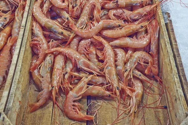 Fresh shrimps for sale — Stock Photo, Image