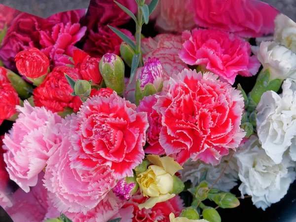 Красочные Гвоздичные Цветы Букет Вид Сверху Мягкий Воздушный Естественный Фон — стоковое фото