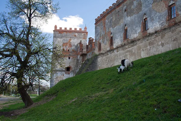 Козацькі Меджибіж замок — стокове фото