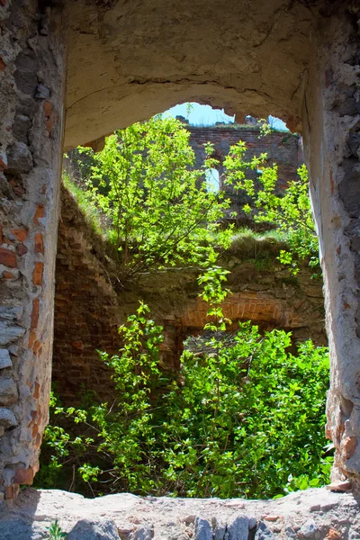 Развалины Меджибинского замка — стоковое фото