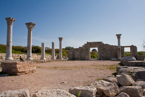 Basílica de Chersonesos — Fotografia de Stock