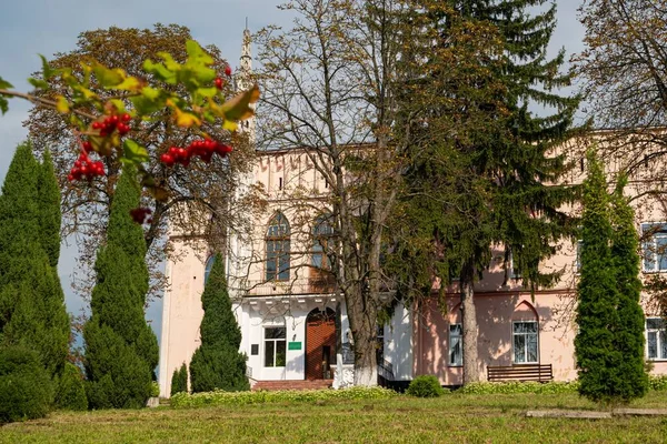 Cherniatyn, Ukrayna - 16.08.2021: Polonya soylu Ignacy Witoslawski sarayının batı cephesinin giriş kapısı, geç saatlerde güneşli bir öğleden sonra manzarası, guelder gülü çalı boyunca manzara, turne simgesi