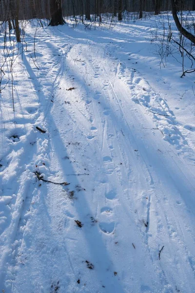 Winter Forest Sundawn Sun Backlight Narrow Dirt Road Hidden Snow —  Fotos de Stock