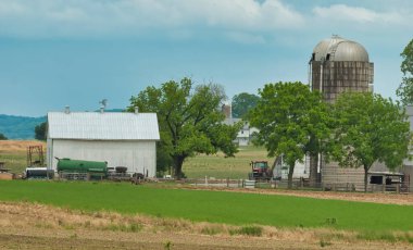 Mavi Gök ve Beyaz Bulutlu Tarla Manzarası