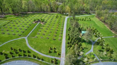 Güzel Çiçek açan Ağaçlar ve Bitkiler ve Eşsiz Yapıların Hava Görünümü