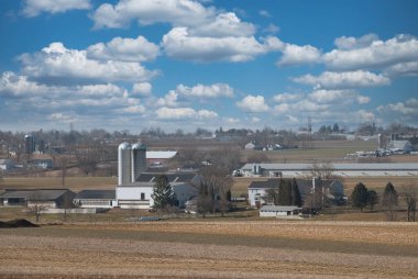 Mavi Gök ve Beyaz Bulutlu Tarla Manzarası