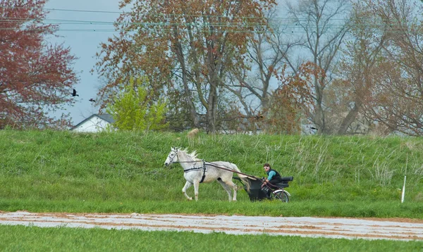 Amish Open Horse and Buggy Ταξιδεύοντας κατά μήκος ενός επαρχιακού δρόμου μέσω των γεωργικών εκτάσεων — Φωτογραφία Αρχείου