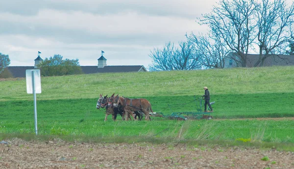 Vista de un hombre amish soplando campos con 4 caballos — Foto de Stock