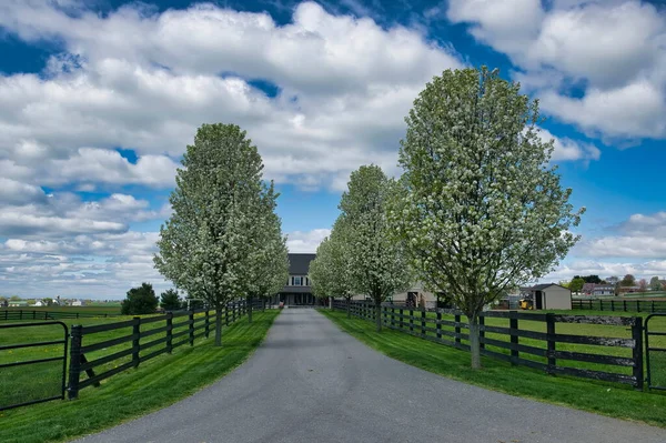 Άποψη ενός Farm Home Stead με Δέντρα στο Bloom και στις δύο πλευρές του Driveway — Φωτογραφία Αρχείου