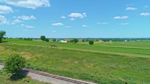 Aerial View Amish Farmer Three Horses Harvesting His Crops Looking — Stok Video