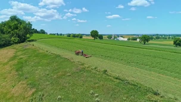 Uma Vista Aérea Fazendeiro Amish Com Três Cavalos Colhendo Suas — Vídeo de Stock