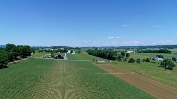 美しい晴れた日には 畑が植えられた農場の田園風景とカーブ上のシングルレールロードトラック — ストック動画