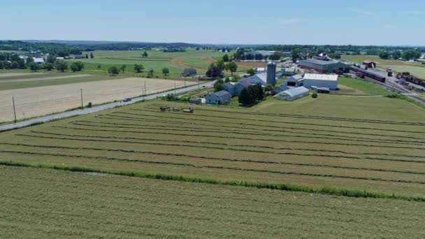 Veduta Aerea Agricoltore Amish Con Cinque Cavalli Che Raccoglie Sue — Video Stock