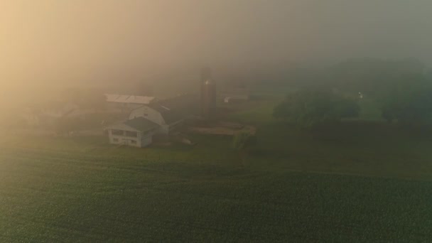 Вид Воздуха Туманное Утро Смотрящее Ферму Пенсильвании Поля Урожаями Амбары — стоковое видео