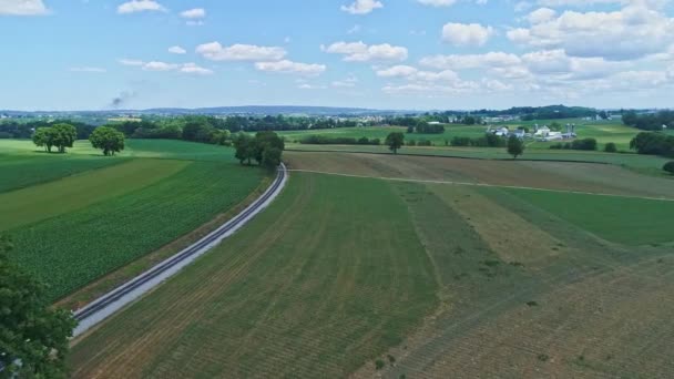 Uma Vista Aérea Campo Fazenda Com Campos Plantados Uma Trilha — Vídeo de Stock