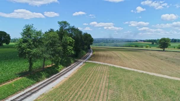 Eine Luftaufnahme Einer Dampflokomotive Die Rauch Und Dampf Bläst Mit — Stockvideo