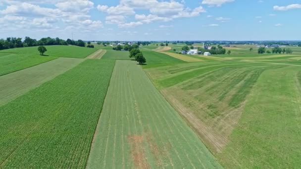 Una Vista Aerea Della Campagna Agricola Con Campi Pascoli Piantati — Video Stock