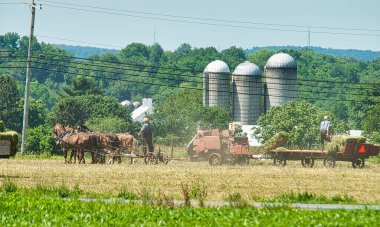 Atlar Tarlasını Amiş Adamları Topluyor ve Kızları Kızları Doğalgazla Çalışıyor