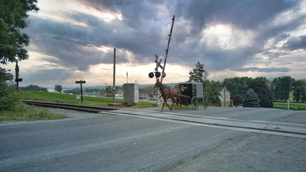 Dramatik bir yaz gününde Amish Atı ve Böcek Demiryolu Geçidi 'nden geçiyor. — Stok fotoğraf