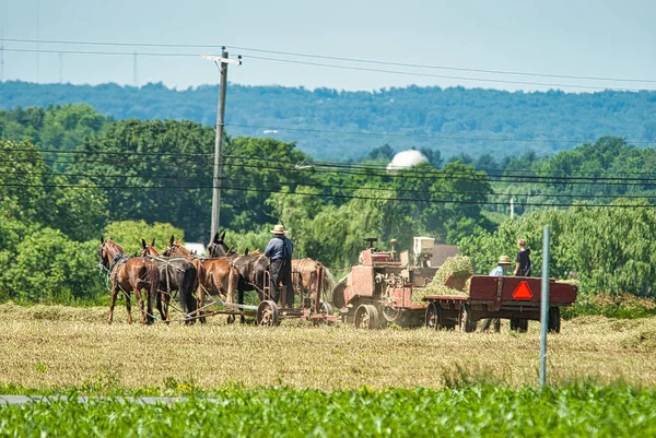 Los hombres amish cosechan sus cosechas tiradas por caballos y cosechadas con una máquina a gas mientras su hija — Foto de Stock