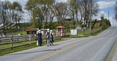 Genç Amish erkekleri ve kızlar Kırsal bir yolda yürüyor.