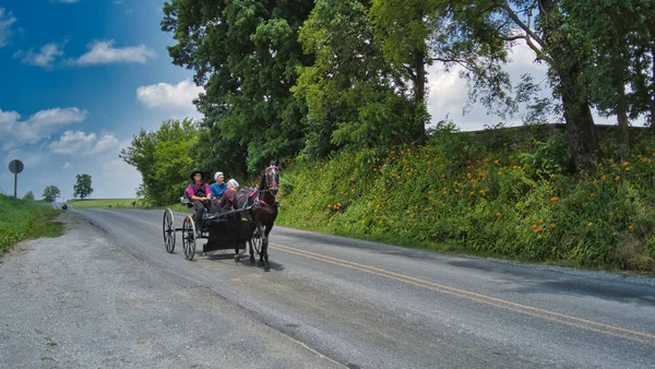 Amish Açık Atı ve At Arabası içinde bir çift ve kızı ile yaklaşıyor.