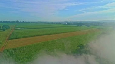 Güneşli bir yaz sabahı Thru Dumanı 'ndan geçen ve Amish Çiftliği' ni gören bir Drone Manzarası