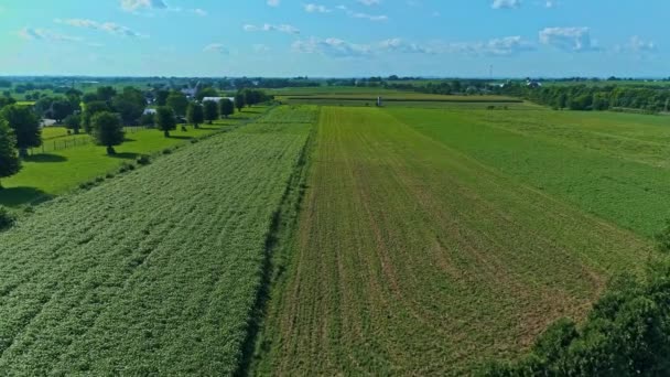 Pensilvanya Nın Kırsal Kesiminde Bir Hava Manzarası Tek Bir Tren — Stok video