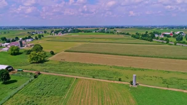 Egy Légi Kilátás Mezőgazdasági Földek Vidéki Kukoricaföldek Egy Gyönyörű Nyári — Stock videók