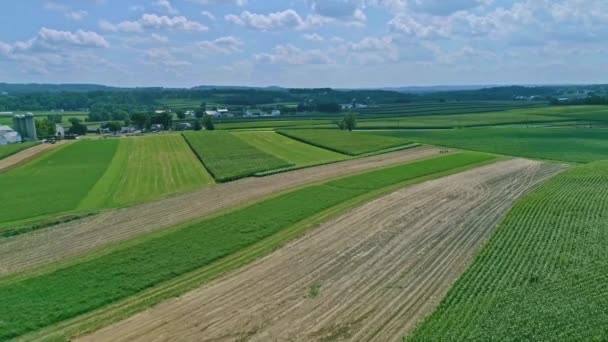 Podróżujący Powietrza Widok Pól Kukurydzy Plonów Zbiorów Łatami Koloru Piękny — Wideo stockowe