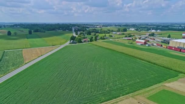 Veduta Aerea Sui Campi Mais Sui Raccolti Con Macchie Colore — Video Stock