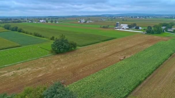 Eine Luftaufnahme Von Maisfeldern Und Ernte Mit Farbflecken Einem Schönen — Stockvideo