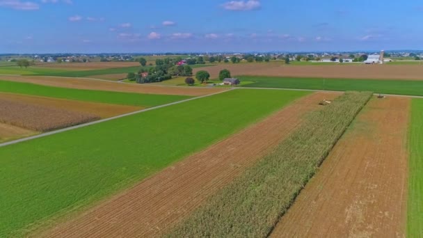 Amiş Çiftliklerinin Kırsal Amerika Sının Güneşli Bir Yaz Gününde Amish — Stok video