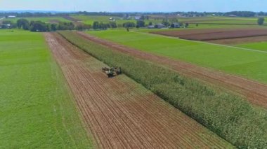 Amiş çiftliklerinin kırsal Amerika 'sının güneşli bir yaz gününde Amish' lerin ekinleri biçtiği hava manzarası.