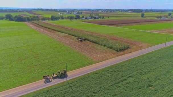 Vedere Aeriană Asupra Americii Rurale Terenurilor Agricole Amish Amish Recoltând — Videoclip de stoc