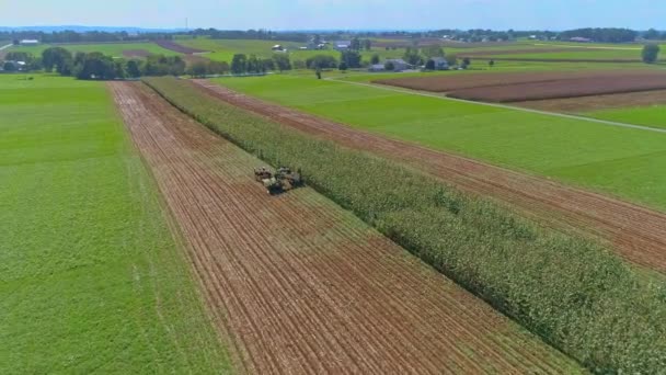 Aerial View Rural America Amish Farmlands Amish Harvesting Crops Słoneczny — Wideo stockowe