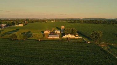 Amish Çiftliklerinin ve Tarlalarının Havadan Bakışı Bir Yaz Öğleden Sonra Altın Saati sırasında