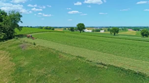 Повітряний Вид Амішів Фермерів Які Збирають Врожай Його Врожай Трьома — стокове відео