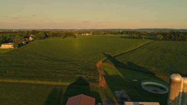 Una Vista Aérea Las Granjas Campos Amish Durante Hora Dorada — Vídeo de stock